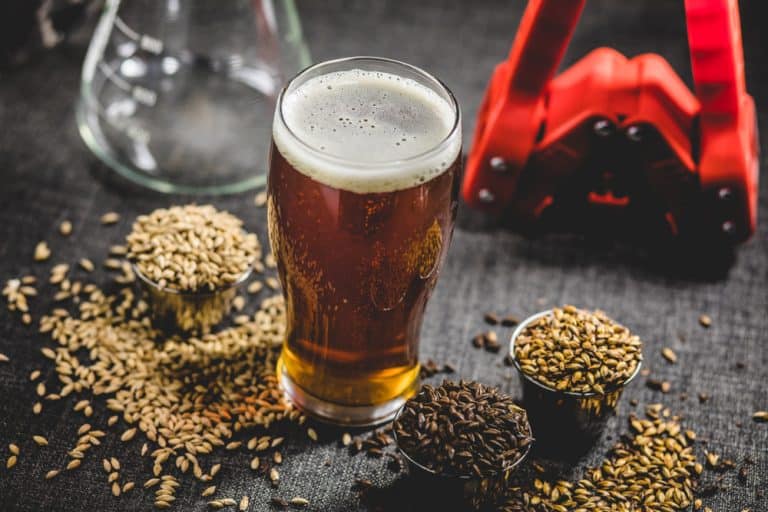 6 Best Grain Mills For Brewing Beer [ 2022 Reviews ]
