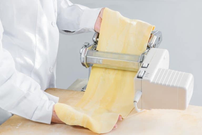 13 Best Electric Pasta Makers [ 2022 Reviews ]