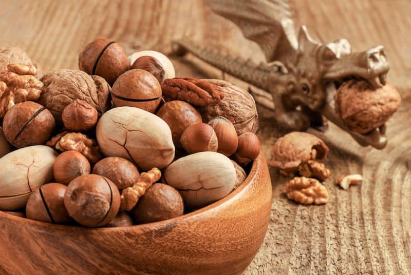 7 Best Nut Choppers for Almonds, Walnuts & Peanuts [ 2022 Reviews ]