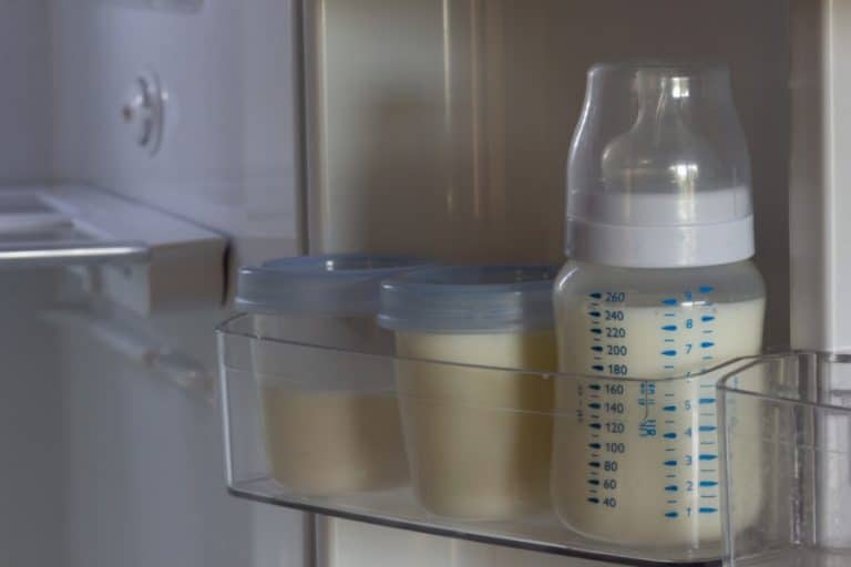 the-13-best-mini-fridges-for-breast-milk-2022-reviews