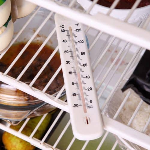 8 Best Refrigerator Thermometers [ 2022 Reviews ]